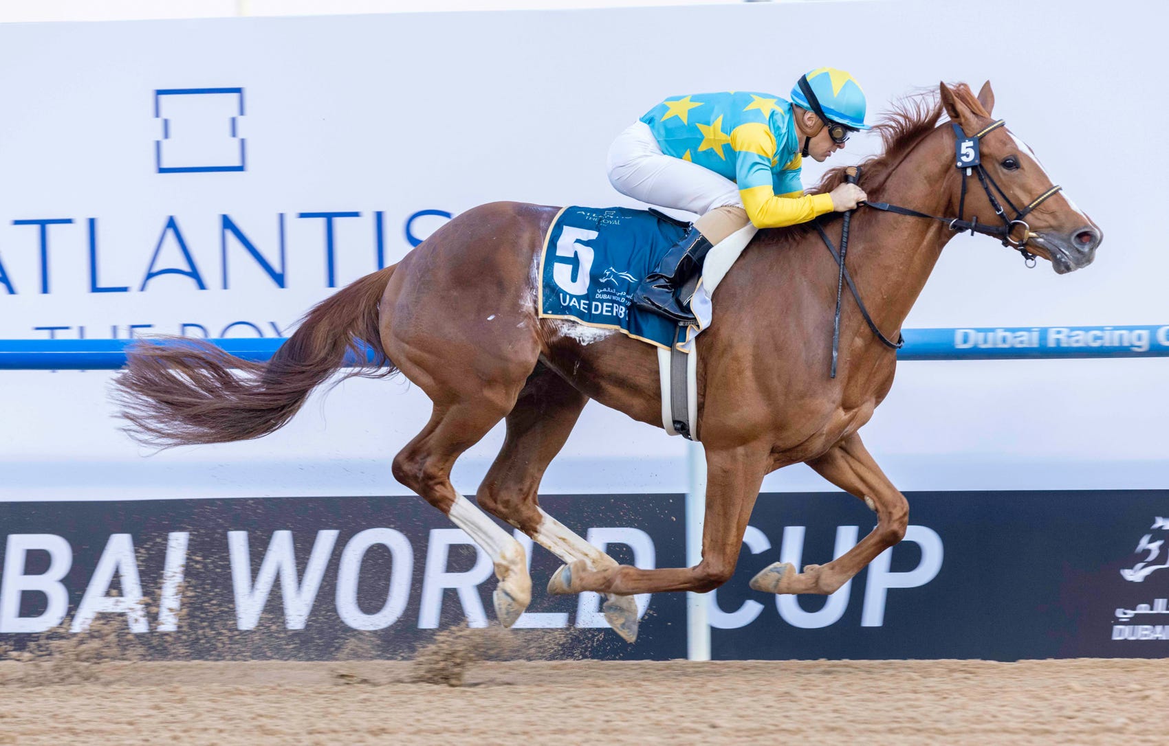 Road to the 2023 Kentucky Derby UAE Derby analysis